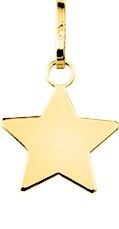 136231 - Charms & Pendants - GOLD PLATED