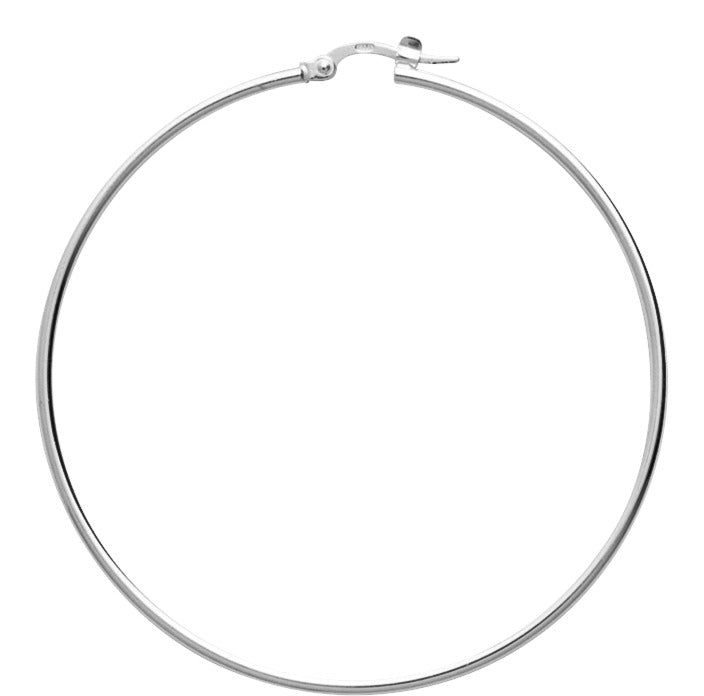205281 - Earrings - SILVER