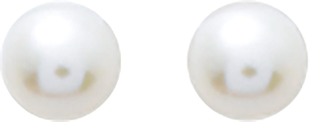 293009.P0 - Earrings - 9CT YELLOW GOLD