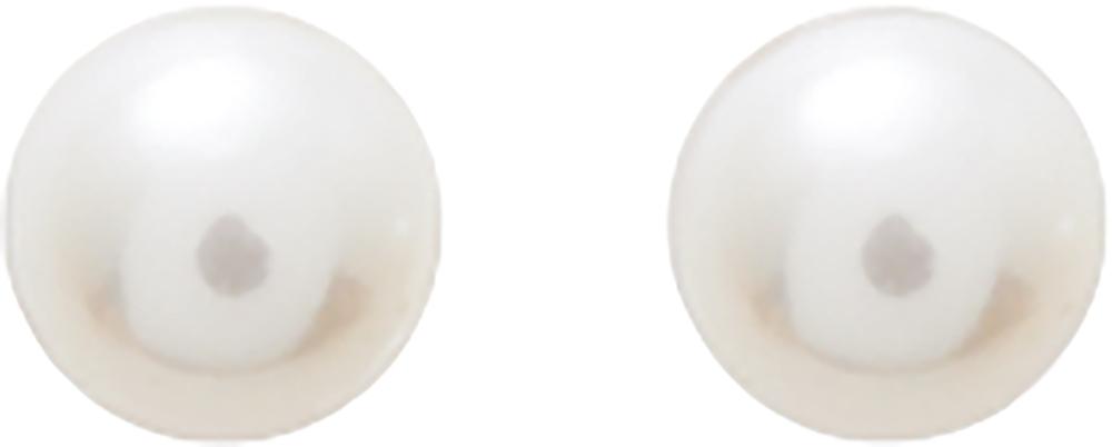 293010.P0 - Earrings - 9CT YELLOW GOLD