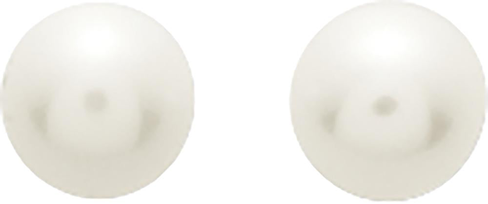 293019.P0 - Earrings - 9CT YELLOW GOLD