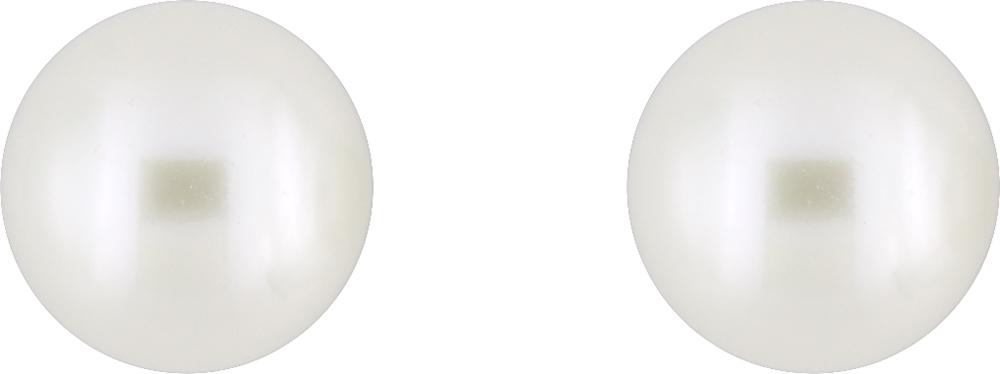 293021.P0 - Earrings - 9CT YELLOW GOLD