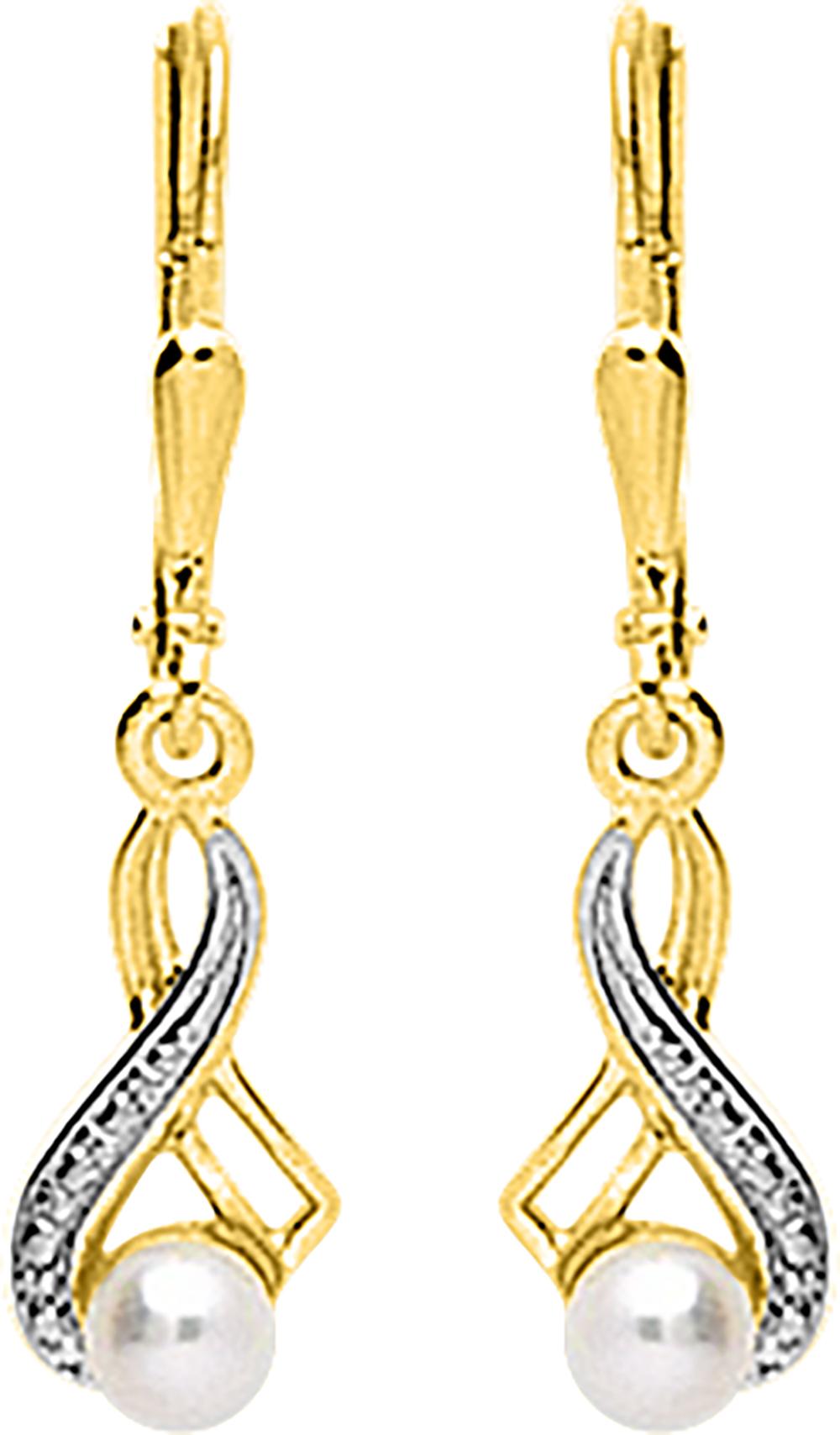 293033.P3 - Earrings - 9CT GOLD