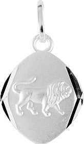 336183.5 - Charms & Pendants - SILVER