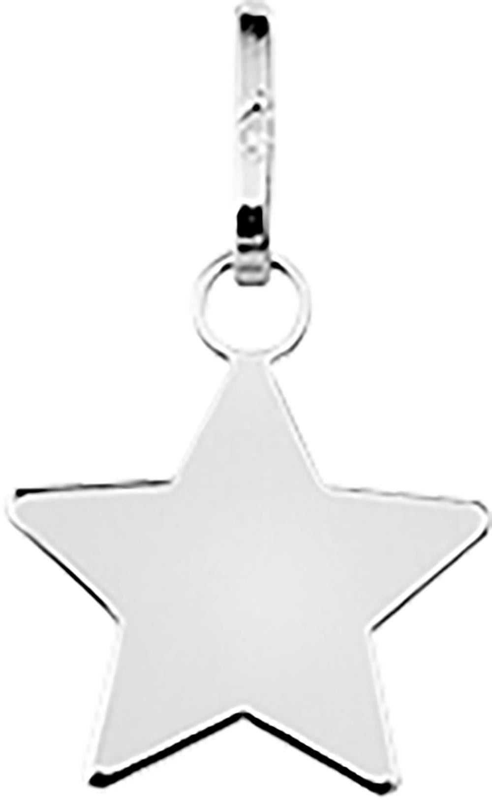336231 - Charms & Pendants - SILVER