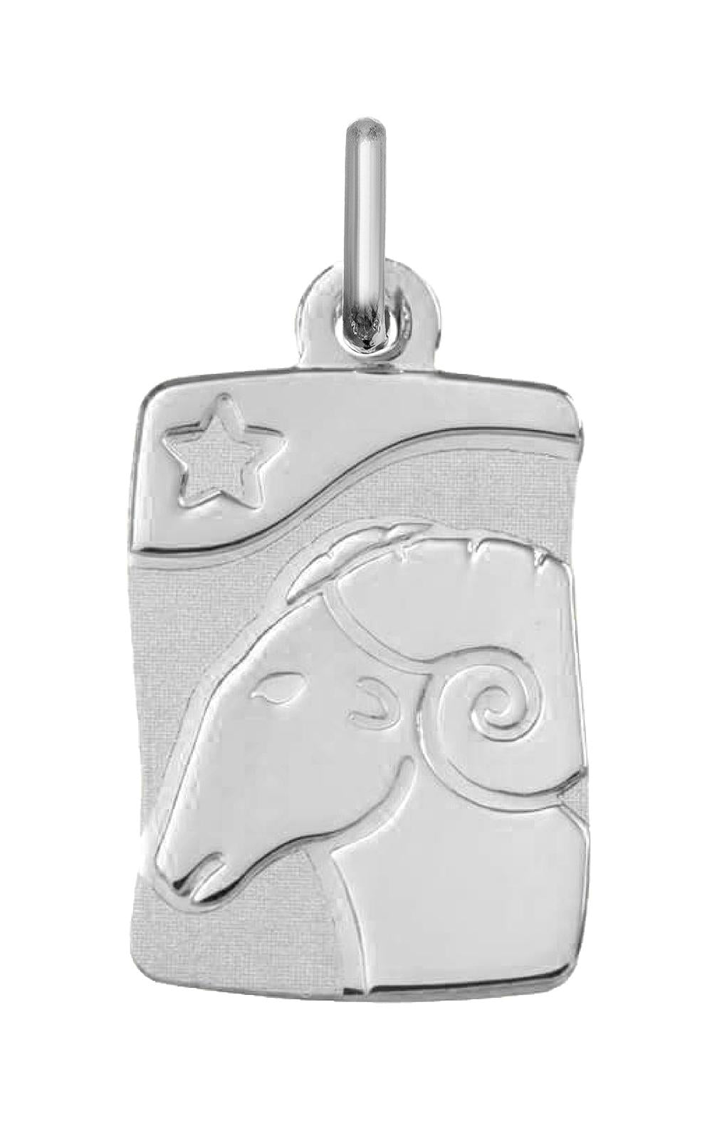 336504.1 - Charms & Pendants - SILVER