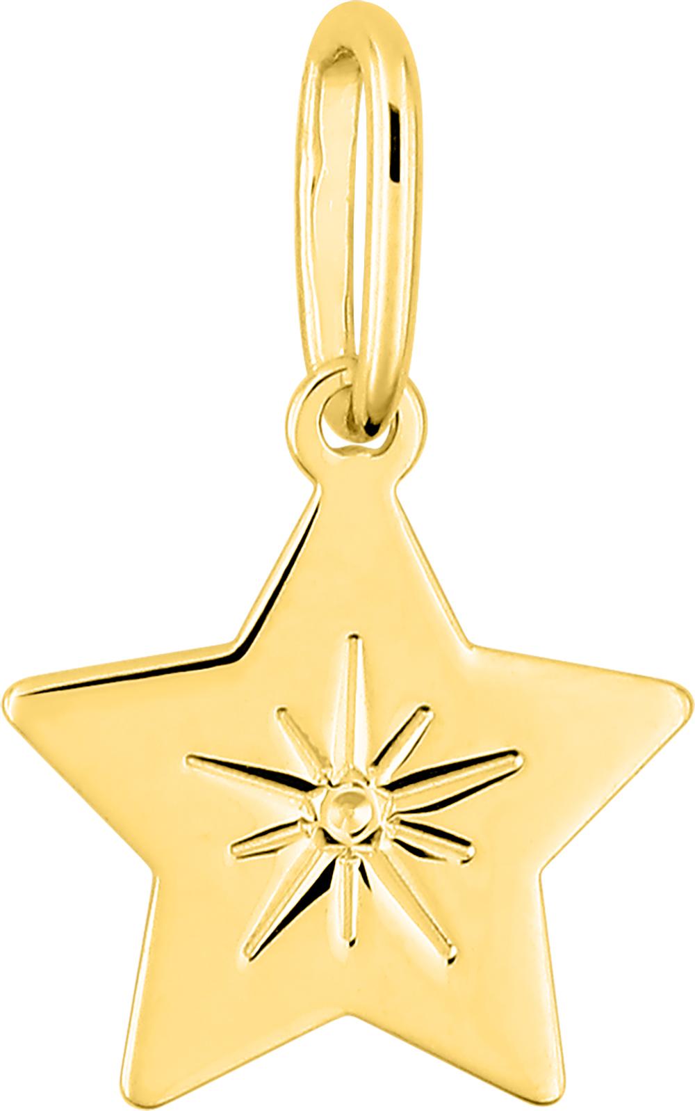 397462.00 - Charms & Pendants - 9CT YELLOW GOLD