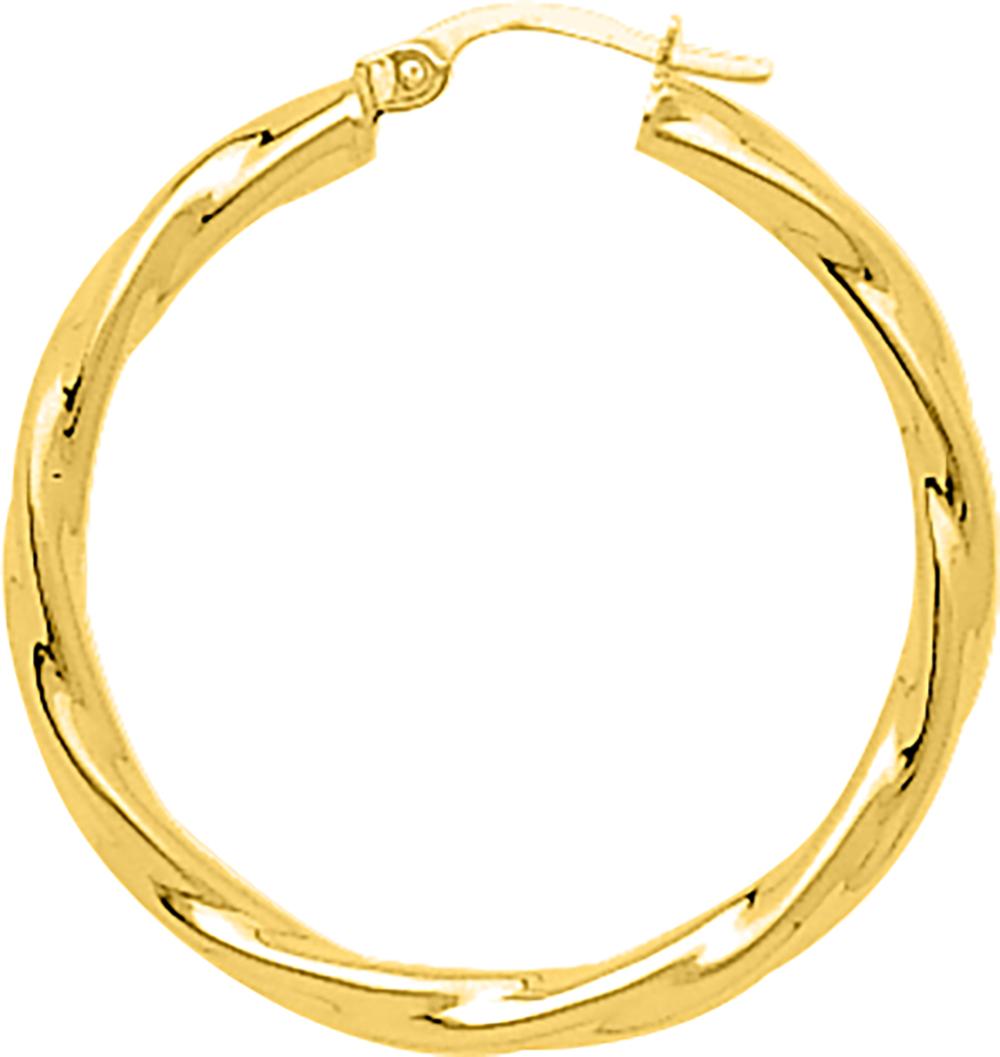 650070.3 - Earrings - 9CT YELLOW GOLD