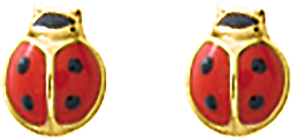 9K8344.3 - Earrings - 9CT YELLOW GOLD