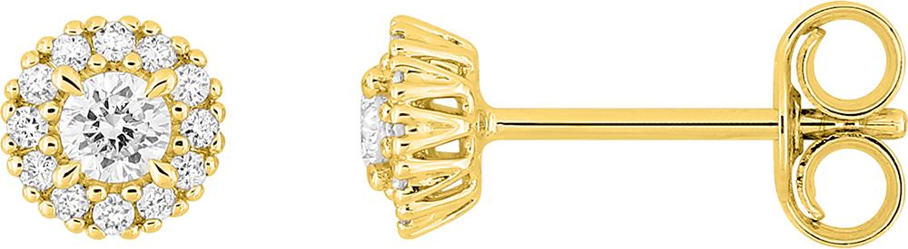 9KLGD053Y - Earrings - 9CT YELLOW GOLD