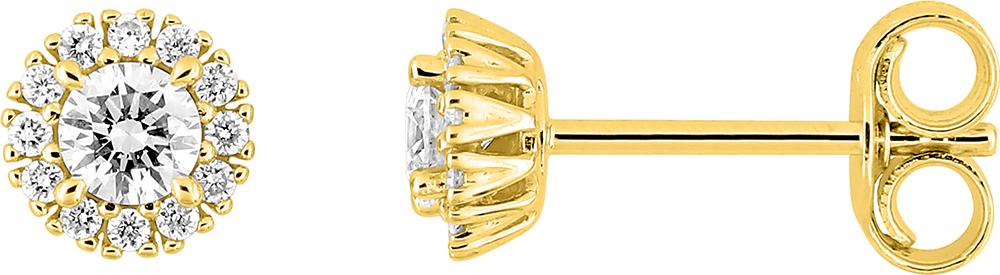 9KLGD054Y - Earrings - 9CT YELLOW GOLD