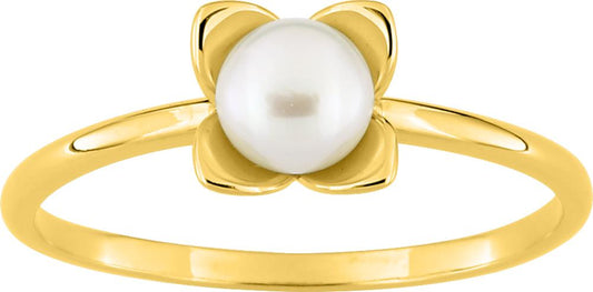 197481.P0 - Rings - 9CT YELLOW GOLD