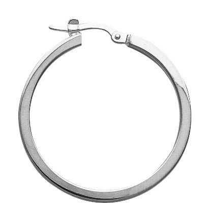 205322 - Earrings - SILVER