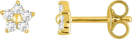 293005.Z0 - Earrings - 9CT YELLOW GOLD