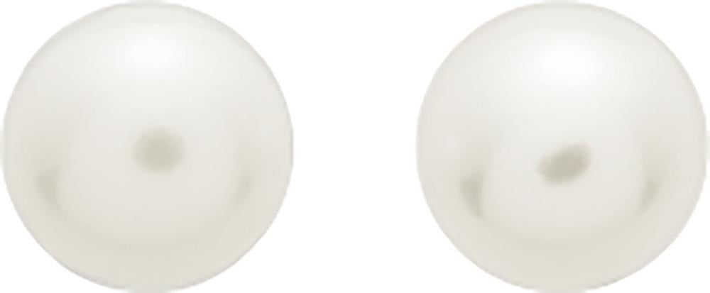 293011.P0 - Earrings - 9CT YELLOW GOLD