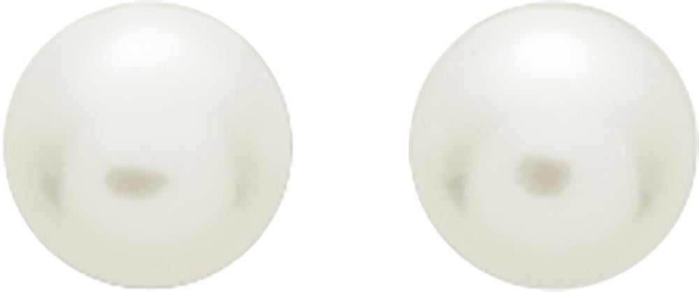 293012.P0 - Earrings - 9CT YELLOW GOLD