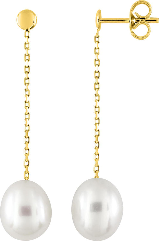 293027.P0 - Earrings - 9CT YELLOW GOLD