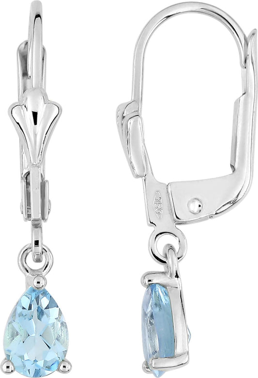 293031.T1 - Earrings - 9CT GOLD