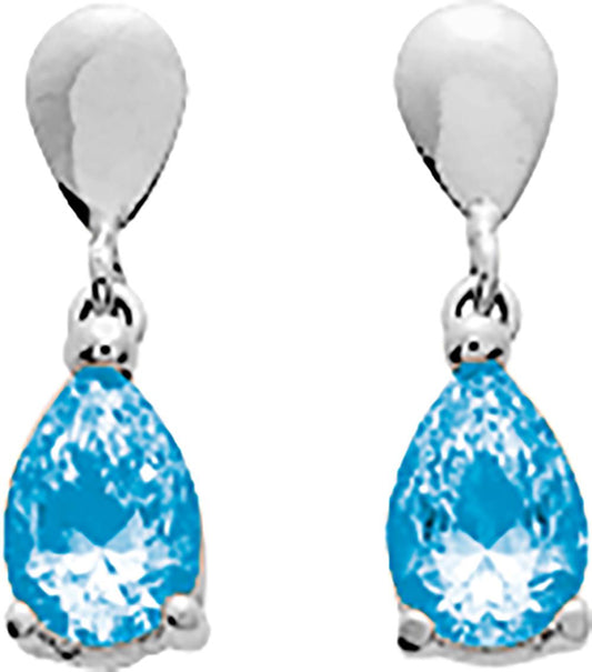 293037.T1 - Earrings - 9CT GOLD