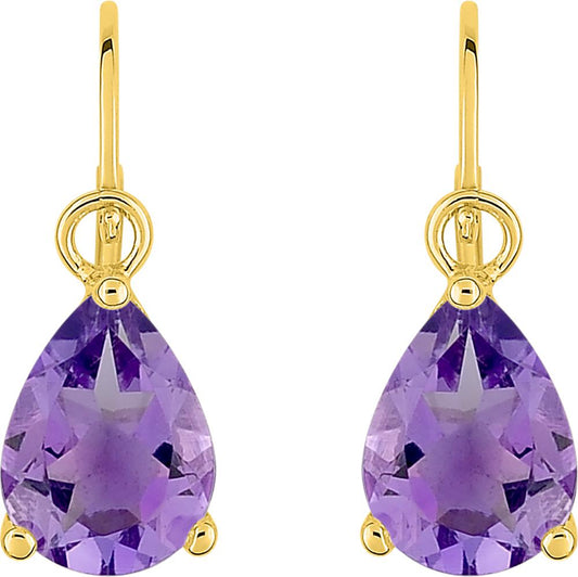 293038.A0 - Earrings - 9CT YELLOW GOLD