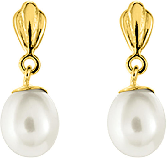 293042.P0 - Earrings - 9CT YELLOW GOLD