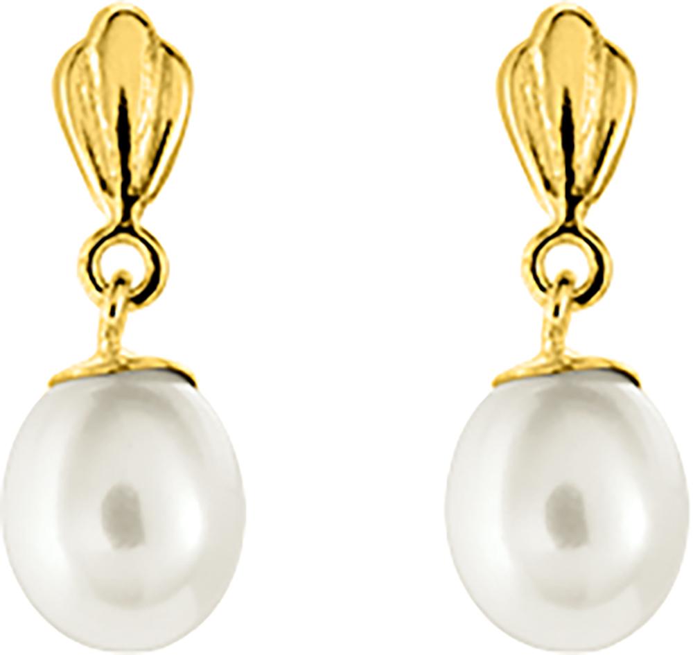 293042.P0 - Earrings - 9CT YELLOW GOLD