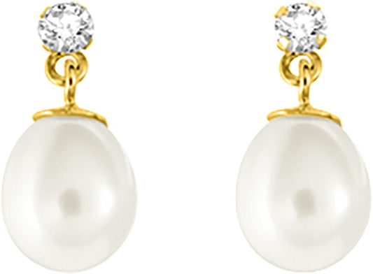 293044.P0 - Earrings - 9CT YELLOW GOLD