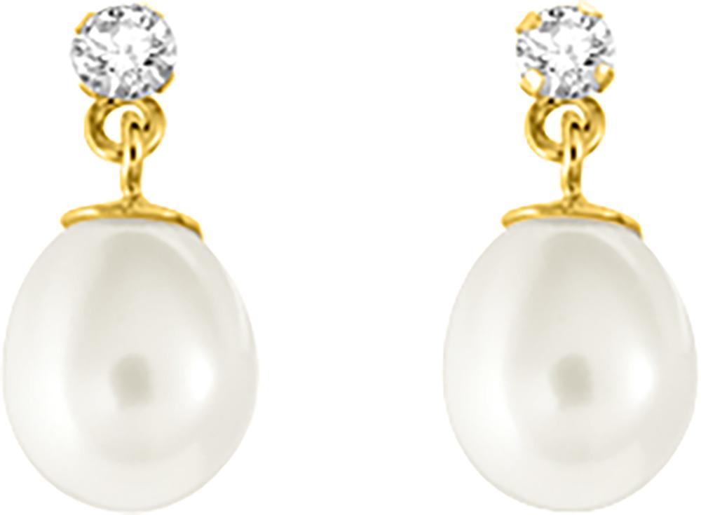293044.P0 - Earrings - 9CT YELLOW GOLD