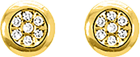 29349.40 - Earrings - 9CT YELLOW GOLD