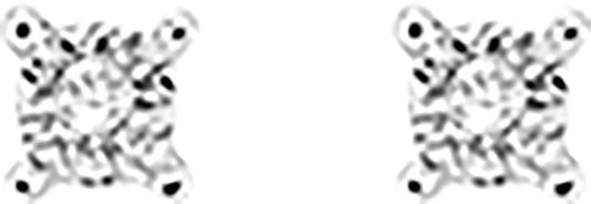 29373.41 - Earrings - 9CT WHITE GOLD