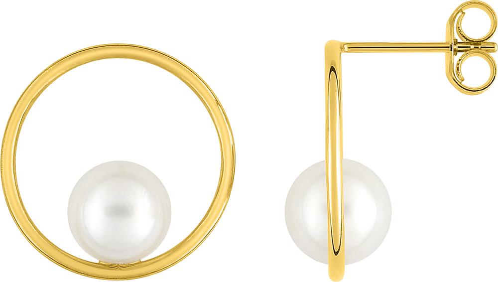 297079.P0 - Earrings - 9CT YELLOW GOLD