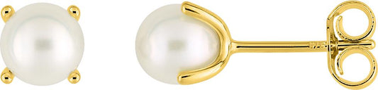 297159.P0 - Earrings - 9CT YELLOW GOLD