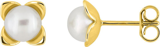 297334.P0 - Earrings - 9CT YELLOW GOLD