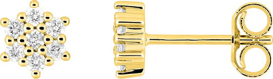 297381.40 - Earrings - 9CT YELLOW GOLD