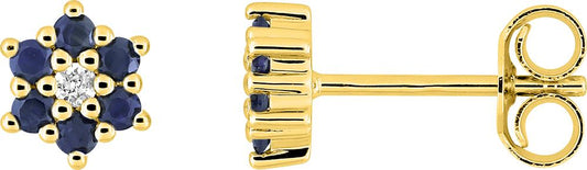 297381.S0 - Earrings - 9CT YELLOW GOLD