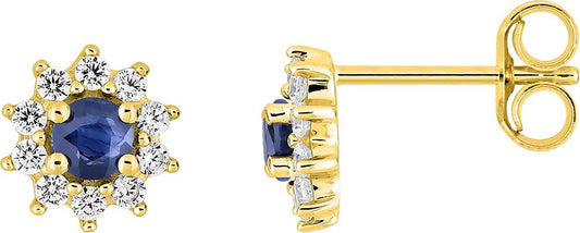 297433.S0 - Earrings - 9CT YELLOW GOLD
