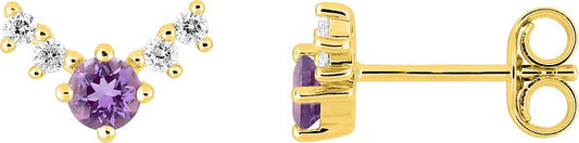 297438.A0 - Earrings - 9CT YELLOW GOLD
