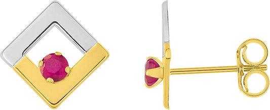29SA731BR - Earrings - 9CT GOLD
