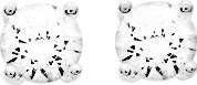 305636.1 - Earrings - SILVER