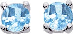 305672.6 - Earrings - SILVER