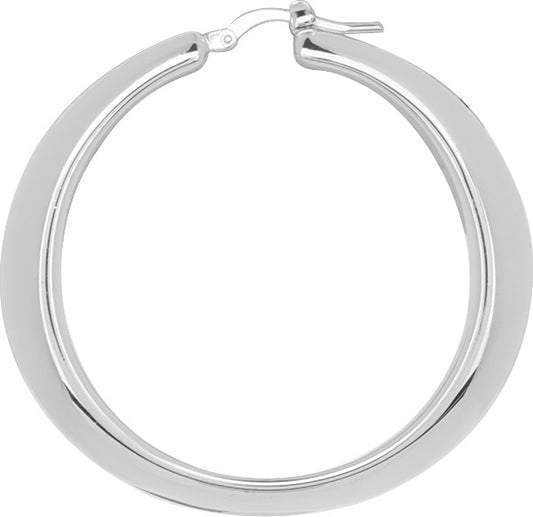 305817 - Earrings - SILVER