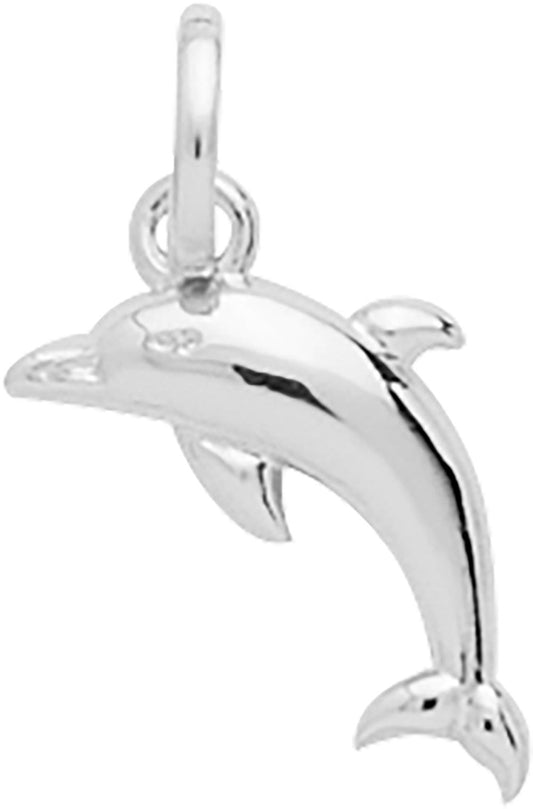 306102 - Charms & Pendants - SILVER