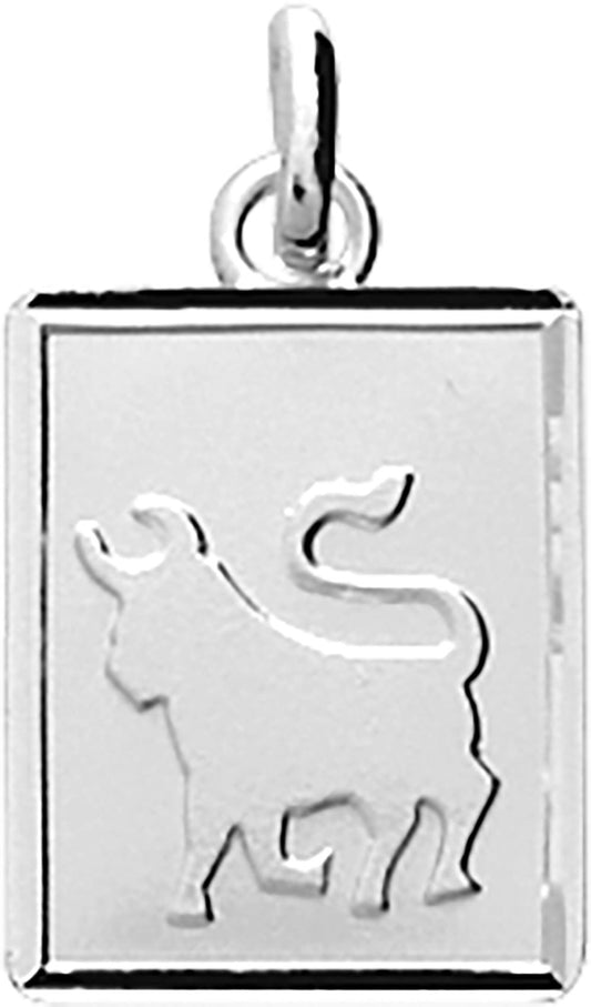 306661.2 - Charms & Pendants - SILVER