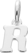 316527.R - Charms & Pendants - SILVER