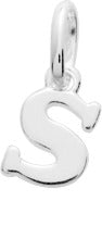 316527.S - Charms & Pendants - SILVER