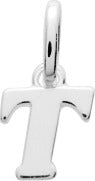 316527.T - Charms & Pendants - SILVER