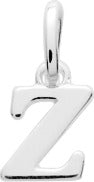 316527.Z - Charms & Pendants - SILVER