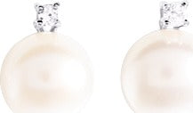 335018 - Earrings - SILVER