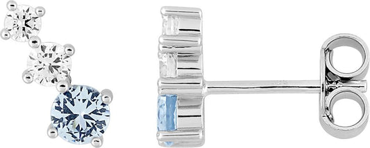 335533.6 - Earrings - SILVER