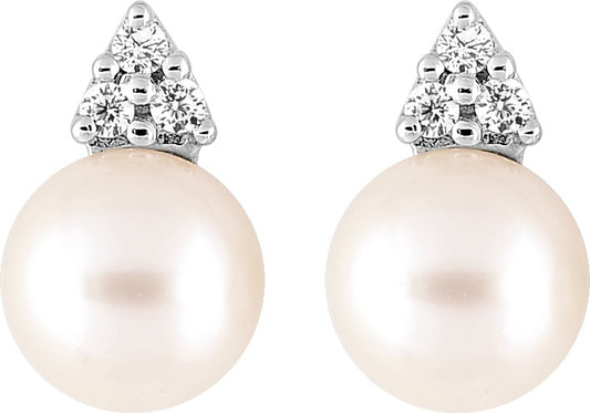 335651 - Earrings - SILVER